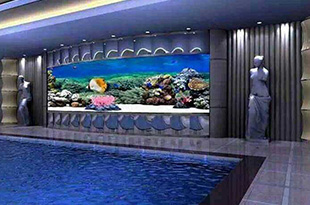 合肥海鲜池定做中常见的有哪几种类型？悦龙阁水族来介绍