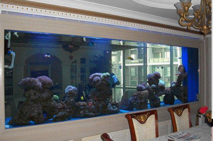 合肥海鲜池定制厂家说说养海鲜的技巧和水温环境的控制