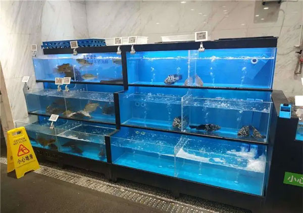 合肥海鲜池定做